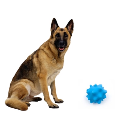 Brinquedo Bolinha Bola Cravo Pet Cachorro Cão Gato Mordedor Antistress Colorida Som Apito Vinil