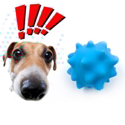 Brinquedo Bolinha Bola Cravo Pet Cachorro Cão Gato Mordedor Antistress Colorida Som Apito Vinil