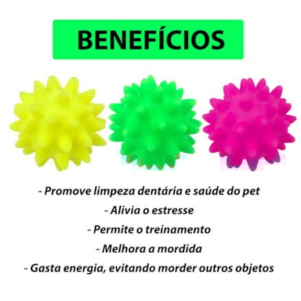 Brinquedo Mordedor Bolinha Bola Cravo Pet Cachorro Mordedor Antistress Apito Sortido