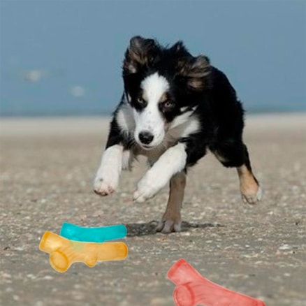 Brinquedo Pet Mordedor Galho Interativo para Cães Cachorros com Apito