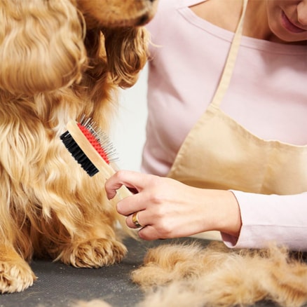 Escova para Pentear Pelos de Pets Dupla Face Cães E Gatos Com Cabo De Madeira