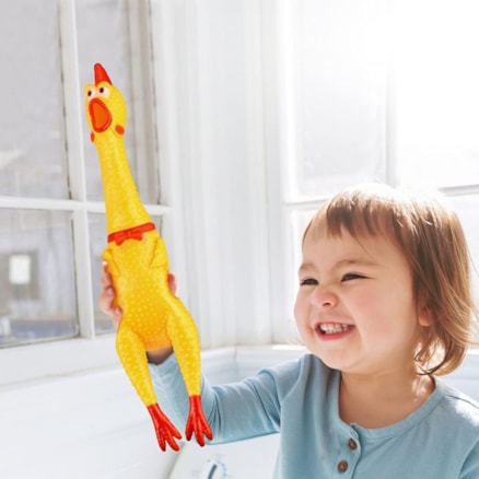 Frango Galinha Galo Brinquedo Pet Cachorro Cães Gatos Borracha Mordedor com Apito Sonoro 16cm P