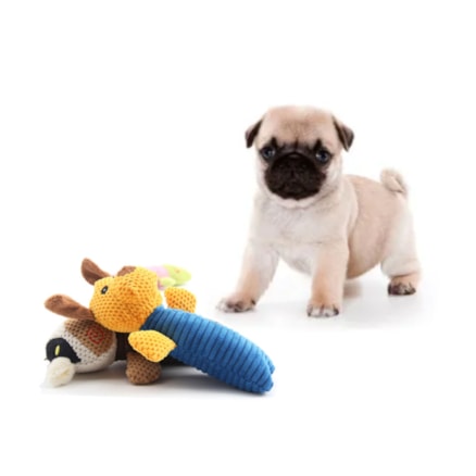 Mordedor Pelúcia Fazendinha Binquedo Cachorrinho Pet Cães Resistente com Apito Spitz Alemão Lulu Maltês Pug