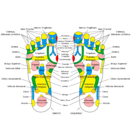 Tapete Massagem Reflexologia Podal Pedras Terapia Dos Pés - Kingdomcares